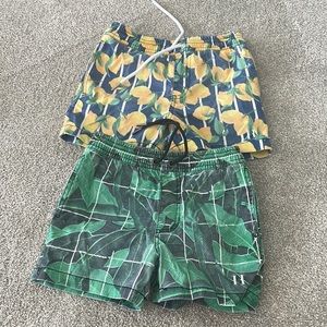 Beau Hudson swim trunks bundle